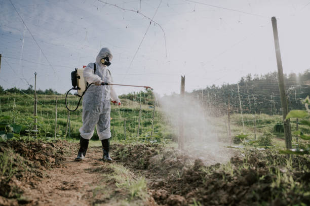 Pest Prevention Services in Wyboo, SC