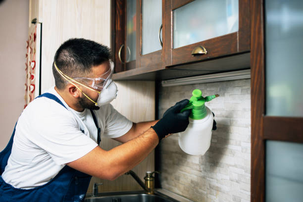 Best Pest Inspection Near Me  in Wyboo, SC