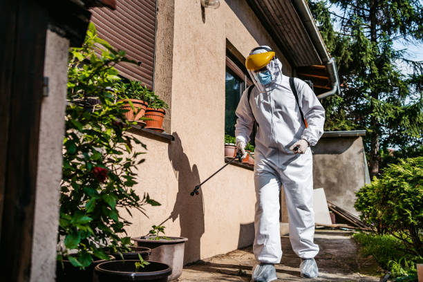 Best Wildlife Control Services  in Wyboo, SC