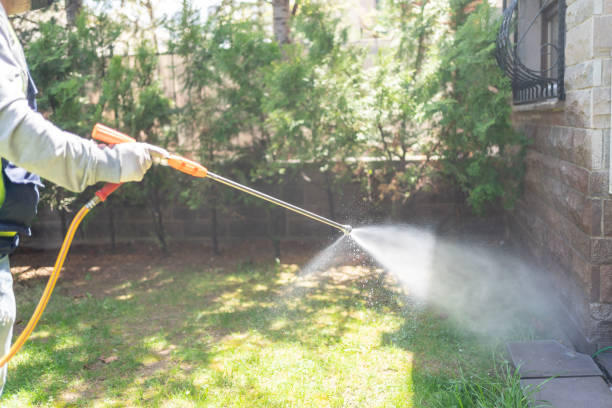 Professional Pest Control in Wyboo, SC