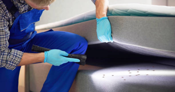 Best Local Pest Control Services  in Wyboo, SC